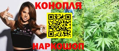дмт Заводоуковск