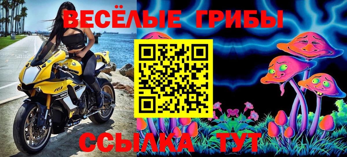 Коряжма  Галлюциногенные грибы ЛСД  Вход с VPN 