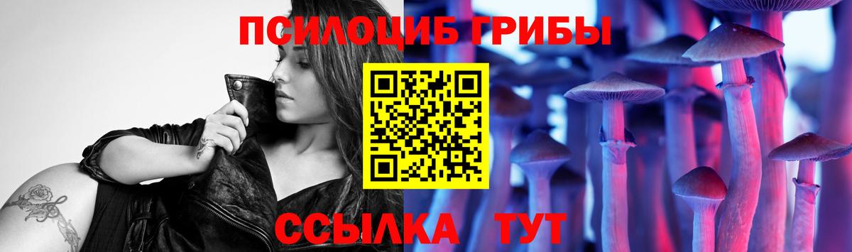 Галлюциногенные грибы Psilocybine cubensis Коряжма